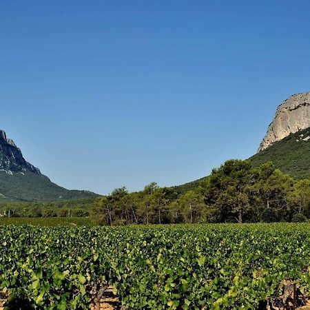 Gite Du Pic Saint Loup Valflaunes Exteriér fotografie